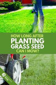 When Can You Mow After Planting Grass Seed Planting Grass Seed Planting Grass Grass Seed