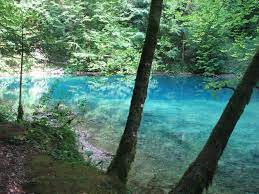 S primorja i unutrašnjosti, te s dinarida i alpa, pa je na. Nacionalni Park Risnjak