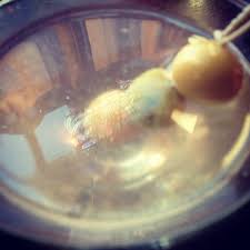 Dr. Kathryn Dickmann, 615 Mitchell Way, Ste 104, Erie, CO 80516, US