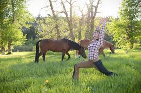 The horse stance is an essential tool of the wim hof method. 5 Yoga Poses Equestrians Should Do Before Every Ride