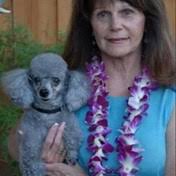 Mckillop Family Obituaries