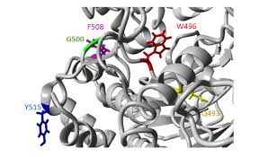 Image result for Delta F508