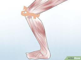 Zur kniekehle gehörig) des rheumatikers bezeichnet. Erkenne Ob Du Eine Bakerzyste Hast Wikihow