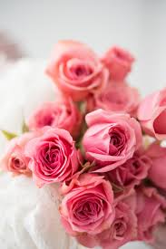 Book your free wedding flower consultation at either or stock, essex or our team of wedding florists will ensure your flowers look spectacular, every flower will be individually stock florist. August Wedding Flowers Bouquets And Decoration Ideas Confetti