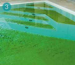 Das poolwasser wird auf diese weise von den neutralisierten rückständen zuverlässig befreit und müsste spätestens jetzt wieder klar sein. Algenbefall Sas Schwimmbadtechnik