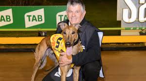 Throughout the years dapto's community has watched dapto dogs become known world wide as ever since @andrewmcintoshphoto showed me photos of this place from the back of dapto a few. The Tab Topgun 2019 Sennachie Favourite For Feature Greyhound Race At The Meadows Herald Sun