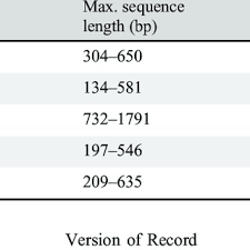 Image result for Phyllanthus loandensis