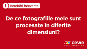 We did not find results for: Developare Fotografii Poze De Dimensiuni Diferite Youtube