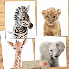 Great prices on home décor. Baby Animals Print Nursery Wall Art Nursery Animal Art Prints For Kids Printable Poster Australian Animals Art Set Of 3 Instant Download Prints Art Collectibles Seasonalliving Com