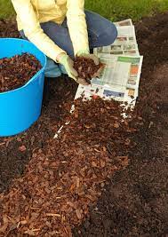 Know These Garden Basics And You Ll Have The Best Garden On The Block Garden Mulch Organic Vegetable Garden Gardening Tips