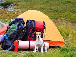 Forked run state park lies in the forested hill country of southeastern ohio. Forked Run State Park Wag