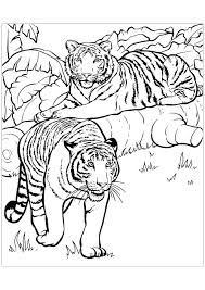 Check out more printable tiger coloring pages which can enhance their creativity and develop their imaginative skills. Tigers To Color For Children Tigers Kids Coloring Pages