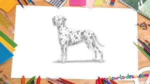 Hi, learn how to easily sketch a dalmatian puppy with atoms jr. How To Draw A Dalmatian Dog My How To Draw