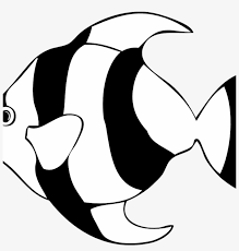 We did not find results for: 8 Images Of Fish Clipart Black And White Pineapple Angel Fish Clipart Black And White Free Transparent Png Download Pngkey
