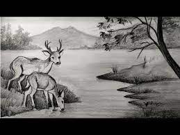 Free drawing assignment brought to completion with digital color. How To Draw Deer With Pencil Sketch Scenery How To Draw Forest Scenery Step By Step Animals Drawing Scenery Landscape Pencil Drawings Pencil Drawings Of Nature