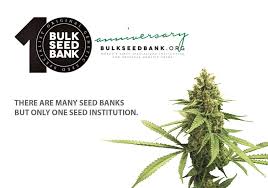 We have the best seed bank reviews online ever since 2009. Bulk Seed Bank Original Genetic Seed Specialist