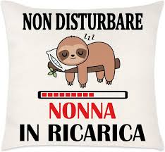 Belloxis Regalo Nonna Federe Cuscini Divano 45x45 come Regali Divertenti  Nonni per Nonna, Idee Regalo Nonna Compleanno Regalo Festa dei Nonni-  Nessun Imbottitura : Amazon.it: Casa e cucina