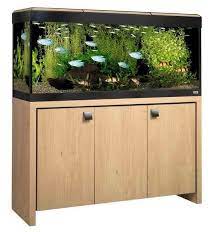 Maybe you would like to learn more about one of these? Fluval Roma 240 Aquarium And Cabinet Fluval Roma Aquariums Aquarium Set Aquarium Fish Tank