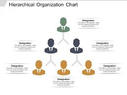 Hierarchical Organization Chart Ppt Powerpoint Presentation