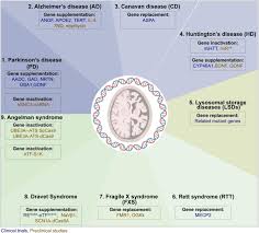 Image result for Blue 1999 AAV