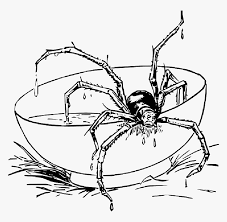 For boys and girls, kids and adults, teenagers and toddlers, preschoolers and older kids at school. Under The Spider Web Tree Image Realistic Spider Coloring Pages Hd Png Download Kindpng