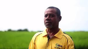 Jabatan pertanian negeri selangor, bangunan darul ehsan, ting 3 & 4, no. Video Projek Usahawan Bimbingan Jabatan Pertanian Negeri Selangor Padi Beras My Gap Youtube