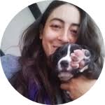 Do Hummingbirds Actually Sleep?