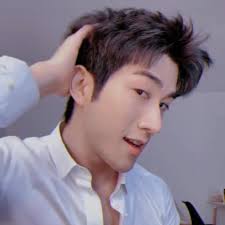 Ly Tri Dinh Aarif Rahman Vietnamese Page