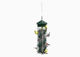 Get a pigeon, parrot, finch, hens and more on kijiji get an alert with the newest ads for birds for rehoming in canada. The 7 Best Bird Feeders Of 2021