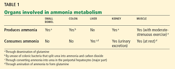 what is the utility of measuring the serum ammonia level in