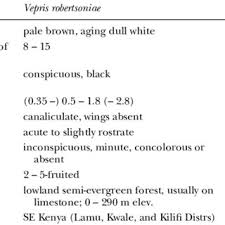 Image result for Vepris drummondii