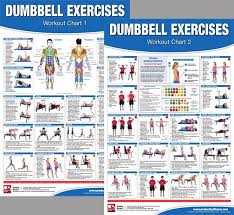 dumbbell exercises workout 2 poster professional wall chart