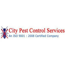 Call city pest control pros for best pest control service in your local area. Termite Control Services In Kothamangalam Termite Treatment