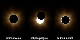 Imagini