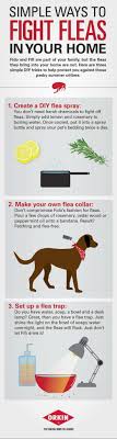 how to get rid of fleas in the house