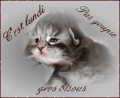 Résultat de recherche d'images pour "gifs encore un lundi"