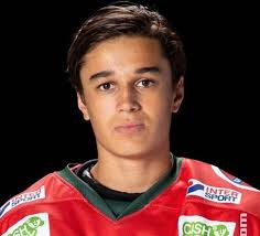 Scouting Report: Hugo Gabrielsson