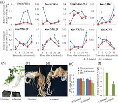 We did not find results for: Phospholipase D And Phosphatidic Acid Mediated Phospholipid Metabolism And Signaling Modulate Symbiotic Interaction And Nodulation In Soybean Glycine Max Zhang 2021 The Plant Journal Wiley Online Library