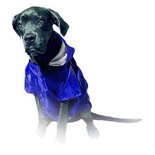 Dogtorin Kap Onlu K Pek Ya Murlu U Mavi 30 Cm 2020 Kopek Mavi Kapsonlular