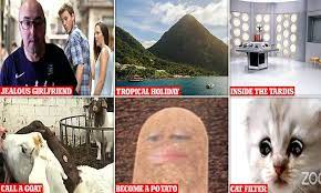 I took it off and replaced it with my face. How To Transform Yourself Into A Cat With Zoom Video Call Filter Daily Mail Online