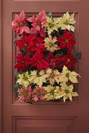 Pin By Liudmila Diana Chiriac On Christmas Memories Christmas Memory Christmas Poinsettia Poinsettia