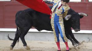 Home goods store general contractor. The Eating Of The Bulls From The Spanish Fighting Ring To The Plate The Salt Npr
