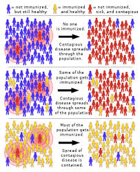 Herd Immunity Wikipedia