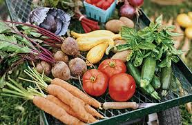 Eating Better Than Organic