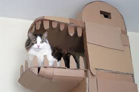 Berikut ini terdapat beberapa cara agar kucing tidak kabur dari rumah, terdiri atas: Cara Membuat Rumah Kucing Dengan Kardus