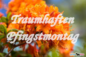 Frohe pfingsten lustig grüße zu pfingsten pfingsten bilder. Pfingstmontag Bilder 1gb Pics