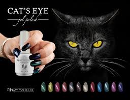 6 colors for choose quantity: Cat S Eye Gel Nail Kit With Uv Lamp 2 Colours 14 Day Manicure