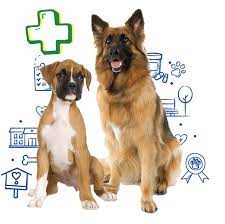 Looking for santa fe pet hospital pet care & boarding? Veterinary Reviews Santa Fe Tx 77510 The Fe Animal Hospital