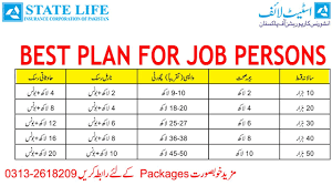 Best life insurance policy in pakistan & how you can choose them; Best Investment For Job Person Best Endowment Plans State Life Insurance Youtube