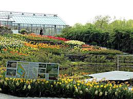 Im garten zuhause teiche im park; Offnungszeiten Naturagart Park Teichpark In Ibbenburen